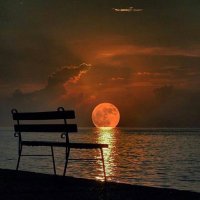 ₮ṝΰtℏἀἧḋ₣ṙḝḝḓ0ḿ (@truth369247) 's Twitter Profile