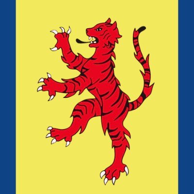A flag for the Fens: a heraldic Fen tiger; yellow for agricultural prosperity; and blue for the natural and manmade waterways.