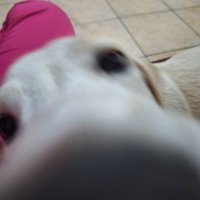 DIVINESTORM (@_divinatormenta) 's Twitter Profile