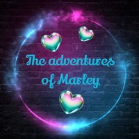 Marley (@marley_gsd) 's Twitter Profile Photo