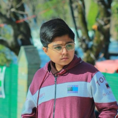 A 15 year old Web developer, UI designer, Programmer from Karachi, Pakistan.