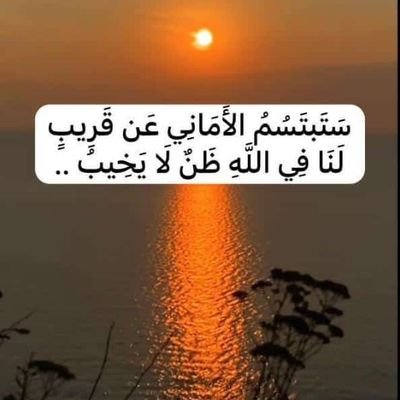 عدن المعلا