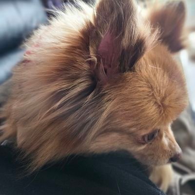 悠里さんのプロフィール画像
