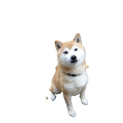 We have started selling goods specializing in Japanese dogs, Shiba Inu. Please come and visit us.　65歳になった日常。X初心者です。柴犬とレジアスエースなどの発信をしていきます。よろしくお願いいたします。