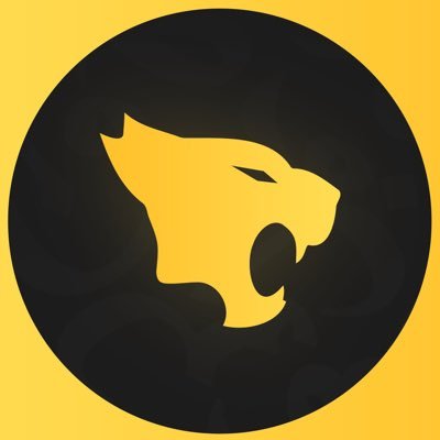 Professional Esports Club verified from @Saudi_Esports | Founded 2020 🐆💛