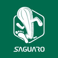 SAGUARO Shoes (@saguaroshoes) 's Twitter Profile