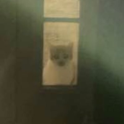 AndrewElgin22's profile picture. Custom Websites - SEO Optimization - Custom Automation Systems