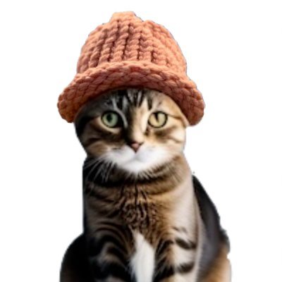 The hattest cat on Solana, wif a 4% auto-burn per on-chain transaction 🔥 https://t.co/JI8I65Z0ZS