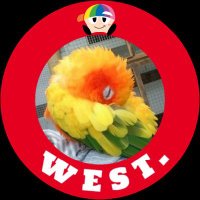 髙柳幸央 (@willow11290626) 's Twitter Profile Photo
