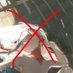 real thought police (@act617arrest) Twitter profile photo real thought police (@act617arrest) Twitter profile photo