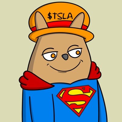 TSLA_ERC's profile picture. Community Run meme project - $TSLA
