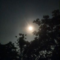 Katha Sanyal (@kathasanyal) 's Twitter Profile