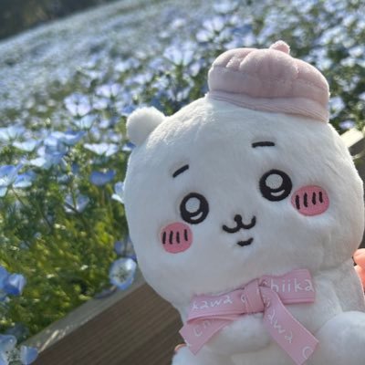 デタカ、厚紙・SN特典 ちいかわetc. ¦お取引専用垢¦ 東海 ¦20↑社会人¦ 郵送のみ対応可 ¦ FF外の方からの直接のDM、条件違いリプ、お取引に不安を感じる方からのリプにはお返事致しません。