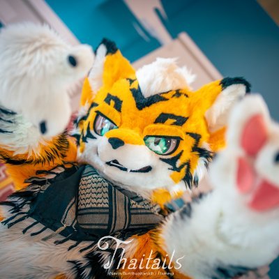 Just an ordinary tiger 🐱🐱.
QQ: 1702349072 
Telegram : @Ryusuke
Icon by @Nkemoaka 
Partial Suit made by @Deomalon176 
Full Suit made by @333sango 😋