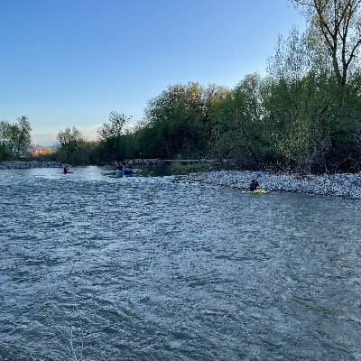 MostOdiest's profile picture. #justiceforwyomingwolfpup