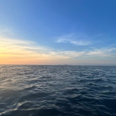 augussantos18's profile picture. 