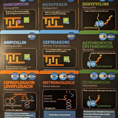 Card game for #MedEd. Brain expert. Cephalexin stan. Clinda apologist. Tweets are for my own education and entertainment. https://t.co/dV6gTAszMr