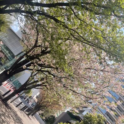 なないろさんのプロフィール画像