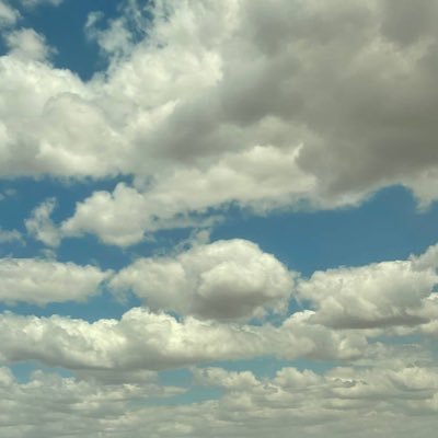 xpqlxk's profile picture. 