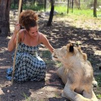 Michelle Sacco-Dembetembe (@mishysacco) 's Twitter Profile Photo Michelle Sacco-Dembetembe (@mishysacco) 's Twitter Profile Photo