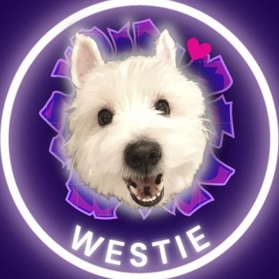 westie_OMGOD Profile Picture