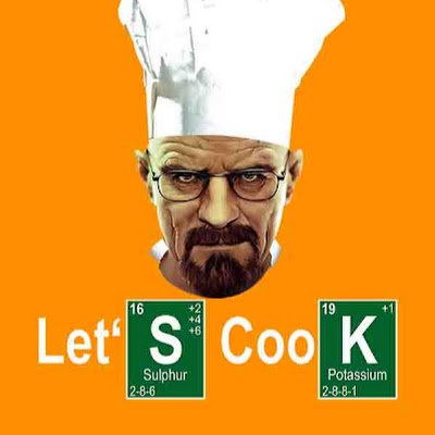 JESSE LETS COOK is a parody memecoin on the largest blockchain in the world, Bitcoin.