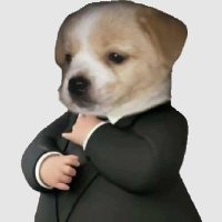 bb 🐶 lll มัมหมีหมาใส่สูท (@thedumbnx) 's Twitter Profile