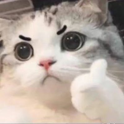 Veryvotree's profile picture. 