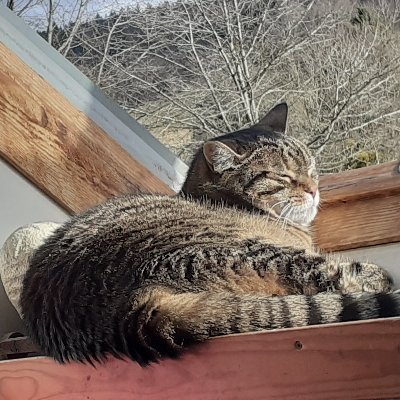 Always look on the bright side of life.
Mutter von Zwerg 2011 und Hexle 2014, Grundschultante , Alltag mit Autismus da 
Zwerg betroffen, Katzen Liebhaberin