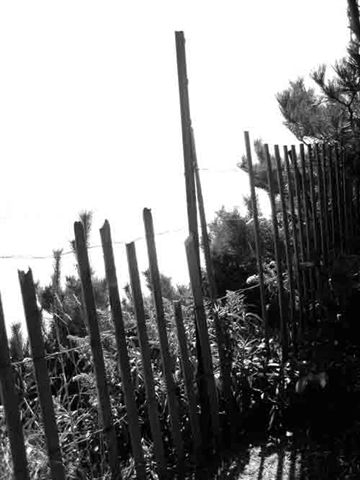 adaptableworld's profile picture. I am a healthcare provider specializing in assistive technology for individuals with disabilities.  I am interested in all things for an adaptable world.