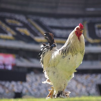 Matheus34399567's profile picture. 