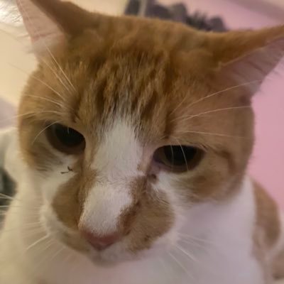 Ljt019117161's profile picture. 🦀