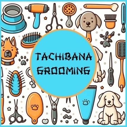 Tachibana Dog Grooming located at Weston-on-Trent, Derbyshire. 
Message for enquiries.