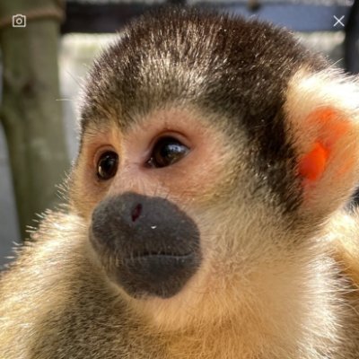 LPadadis92192's profile picture. 