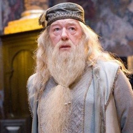 Headmaster of the Wizarding school Hogwarts | 
Prof. Albus Percival Wulfric Brian Dumbledore