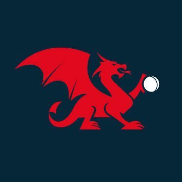 Criced Cymru / Cricket Wales 🏏🏴󠁧󠁢󠁷󠁬󠁳󠁿