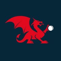 Criced Cymru / Cricket Wales 🏏🏴󠁧󠁢󠁷󠁬󠁳󠁿(@CricketWales) 's Twitter Profileg