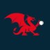 Criced Cymru / Cricket Wales 🏏🏴󠁧󠁢󠁷󠁬󠁳󠁿 (@CricketWales) Twitter profile photo