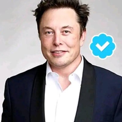 CEO OF TESLA