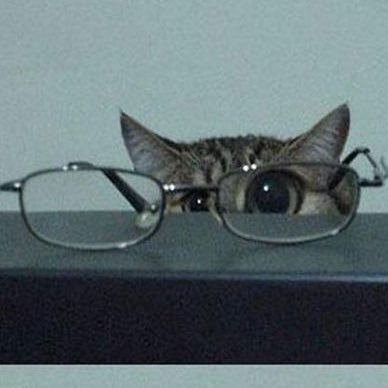 dsds327076's profile picture. 푸승 https://t.co/81b30ZKpLL...  .. 그냥 일상