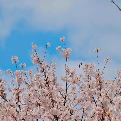 imi_withu's profile picture. 