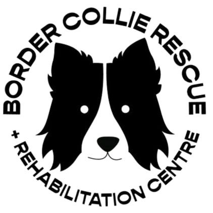 A border collie rescue and rehabilitation centre (Wales). We rescue dogs with behavioural issues & rehabilitate and rehome where possible🐶
Reg Charity 1200171