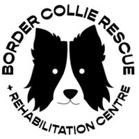 Diane Hart Collie Dog Rescue, Wales(@HartCollie) 's Twitter Profileg