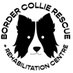 Diane Hart Collie Dog Rescue, Wales (@HartCollie) Twitter profile photo