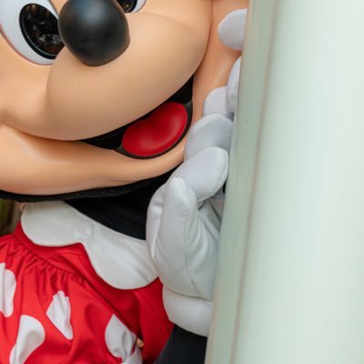 next→Aulani🇺🇸 TDR🇯🇵/DLR🇺🇸/HKDL🇭🇰/Minnie&Mickey