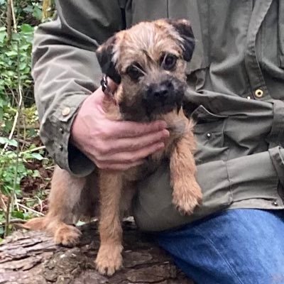 8 month old BT who has come to fill the huge boots left by Dora who was an inaugural member of the #BTPosse.