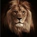 Big lion Big Attack 🦁 (@vinod_jaat12) Twitter profile photo