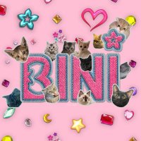 bini cats(@bini_cats) 's Twitter Profile Photo