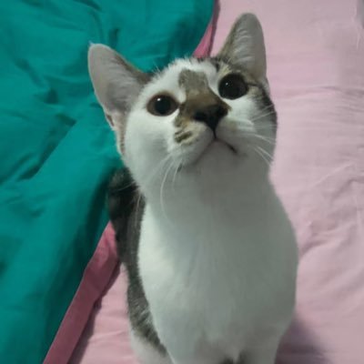 monamibee's profile picture. 