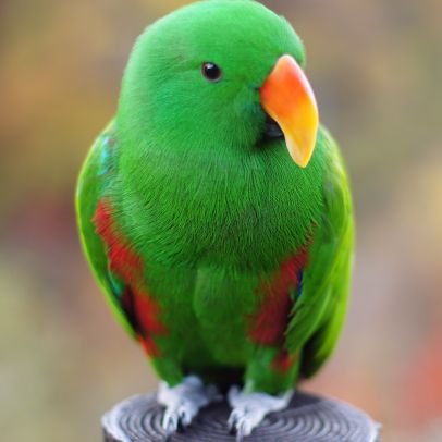 tarosuke12092's profile picture. のんびりカメラします
無言フォロー失礼します